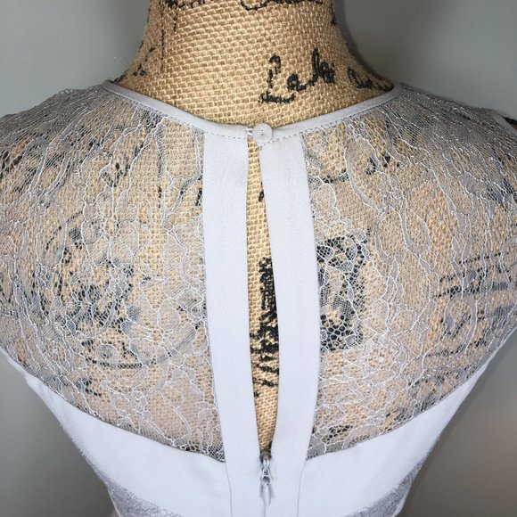 BCBG MAXAZRIA Raya Sleeveless Pleated Lace Dress - Picture 11 of 16